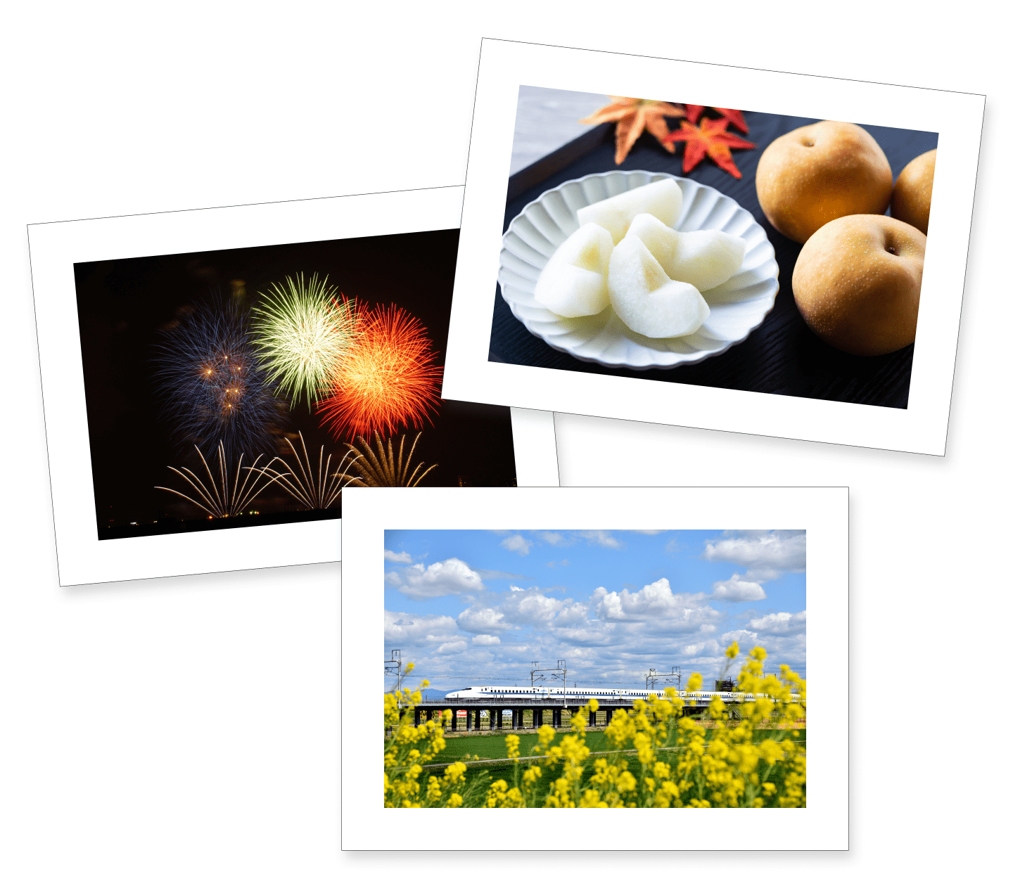 刈谷市のイメージ画像